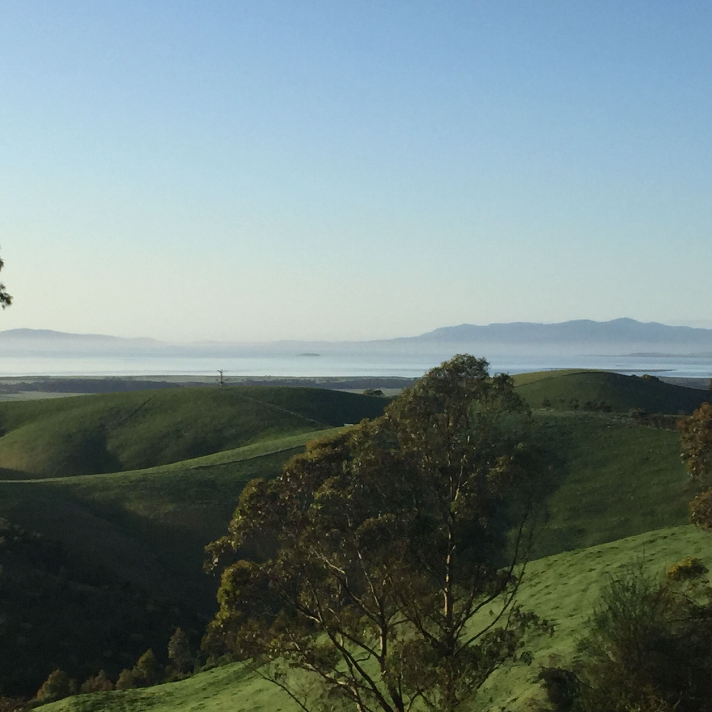 View from Eagles Nest B & B