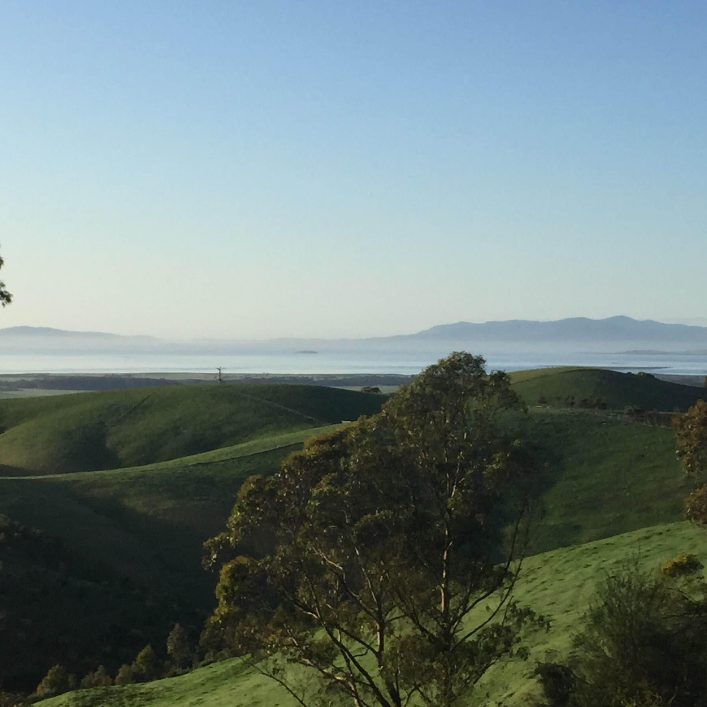 View from Eagles Nest B & B